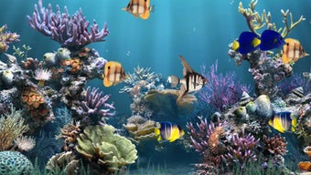 Aquarium Animated Wallpaper