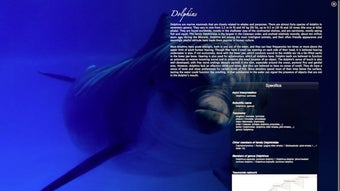 Real Aquarium HD