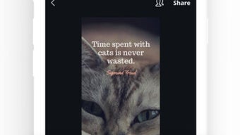 Canva: Graphic Design  Video