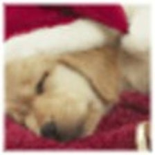A Long Winters Nap