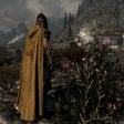 Symbol des Programms: Skyrim - Cloaks of Skyrim…