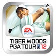 Ikon program: Tiger Woods PGA TOUR® 12:…