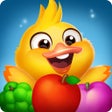 أيقونة البرنامج: Fruits Ducks