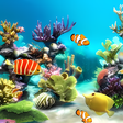 Icona del programma: aquarium 4k live wallpape…