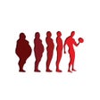 Ikon program: My Evolution Fitness
