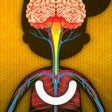ไอคอนของโปรแกรม: How does The Human Body W…
