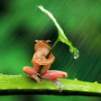 プログラムのアイコン：Rain HD Wallpaper