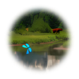 Icon of program: Alpine Lake – Animated Wa…