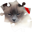 Ikona programu: Puzzle Cats