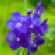 Icon of program: Summer Flower Screensaver