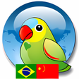 Ícone do programa: Concise Portuguese Chines…