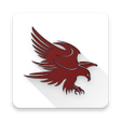 程序图标：Eagle EiS