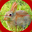 Biểu tượng của chương trình: Sniper Rabbit Hunting 3D