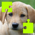 ไอคอนของโปรแกรม: Puppy Puzzles  Dog Jigsaw