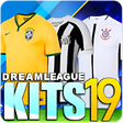 Biểu tượng của chương trình: Dream League Brasileiro k…