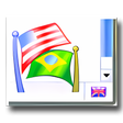 Flagfox