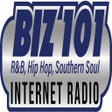 Иконка программы: BIZ 101