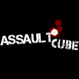 Ikon program: AssaultCube