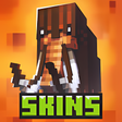Skins for Craftsman