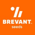 Ikon program: Brevant seeds