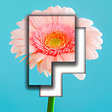 Symbol des Programms: Pictominoes