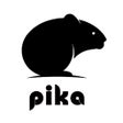 Ikon program: Pika Labs: AI Video Gener…