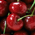 程序图标：Berries Live Wallpaper