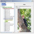 Ikon program: JShowBuilder