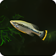 Ikona programu: Aquarix