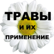 Ícone do programa: ТРАВЫ и их целебные свойс…