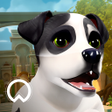 Programikonen: DOGAMÍ Academy